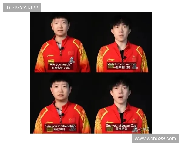 奥运会精彩赛事直播，见证荣耀与激情的巅峰对决